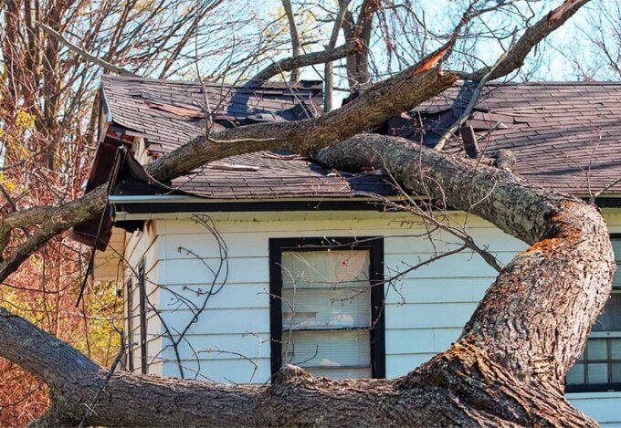 Fallen tree damaging the roof of a house, representing storm-related homeowners insurance claims.