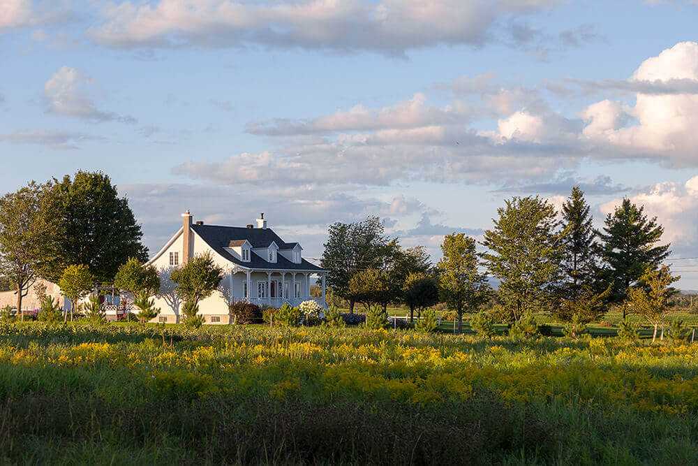 USDA-eligible rural white farmhouse with dormer windows and a front porch, surrounded by field of wildflowers.